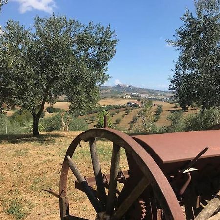 Appartamento Olivo Collecorvino Bagian luar foto