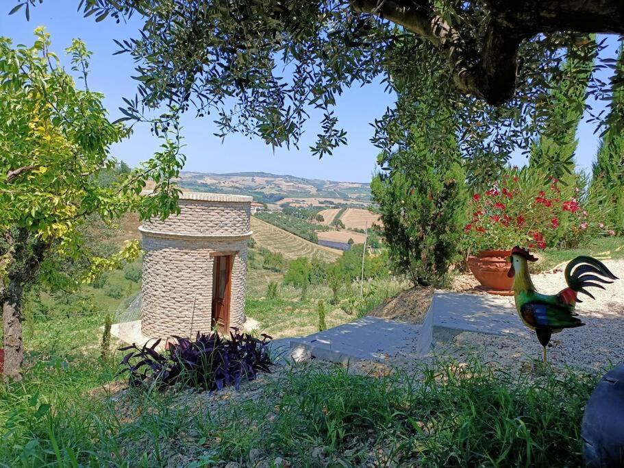 Appartamento Olivo Collecorvino Bagian luar foto
