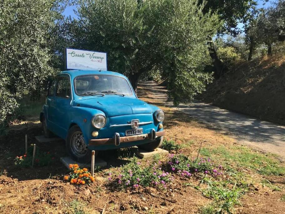 Appartamento Olivo Collecorvino Bagian luar foto