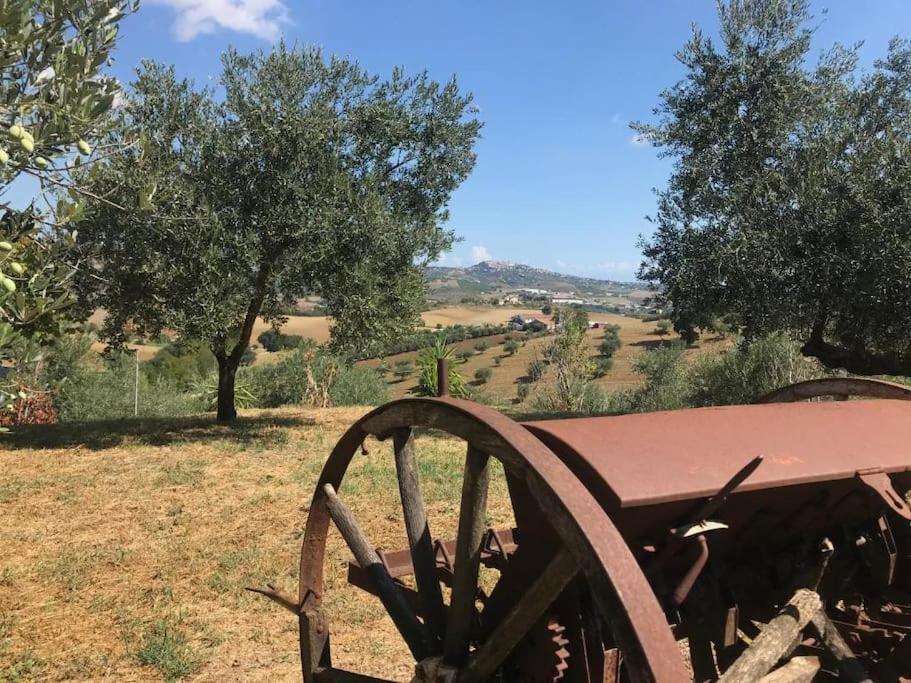 Appartamento Olivo Collecorvino Bagian luar foto