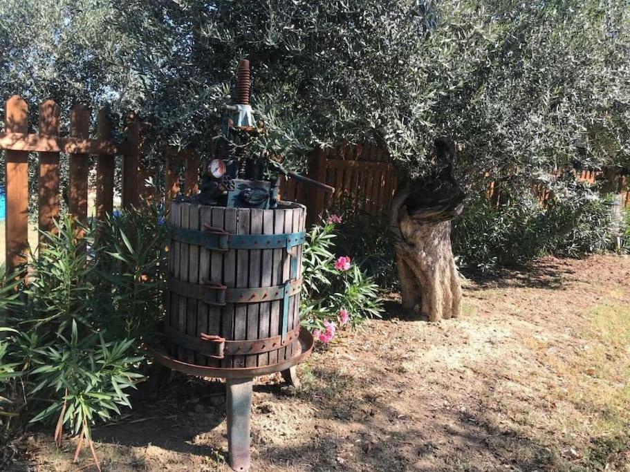 Appartamento Olivo Collecorvino Bagian luar foto